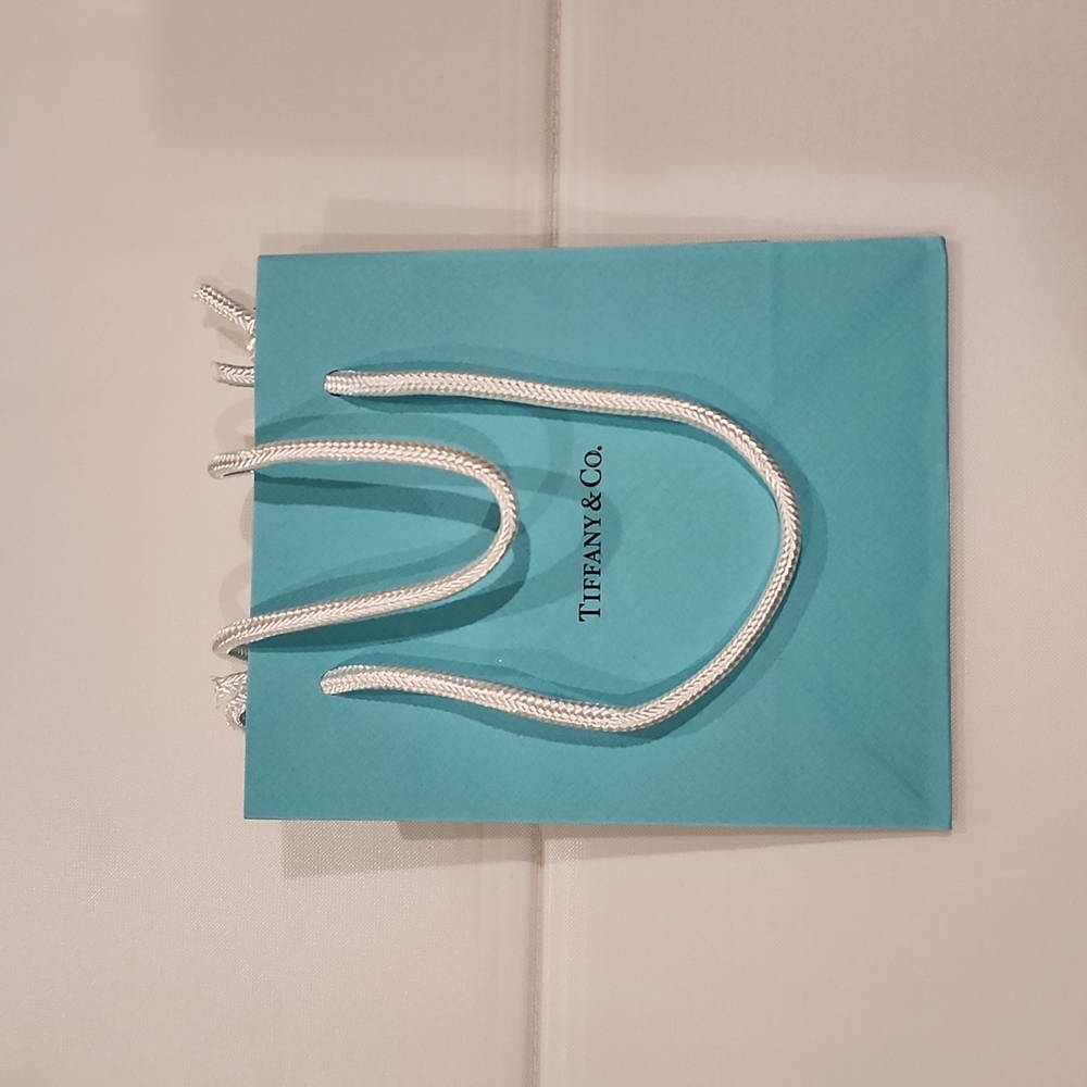 Tiffany & Co Bag
